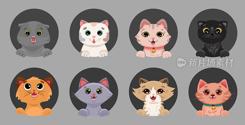 Cute set with funny cat face icons for profile. Cute pet portraits of different breeds on dark cirlcÑ background. Vector cartoon illustration for your design